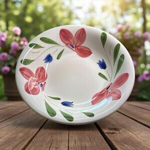 Maxam Ceramic 10" Hand Painted Serving Bowl Made in Italy Pink Floral SET of 2